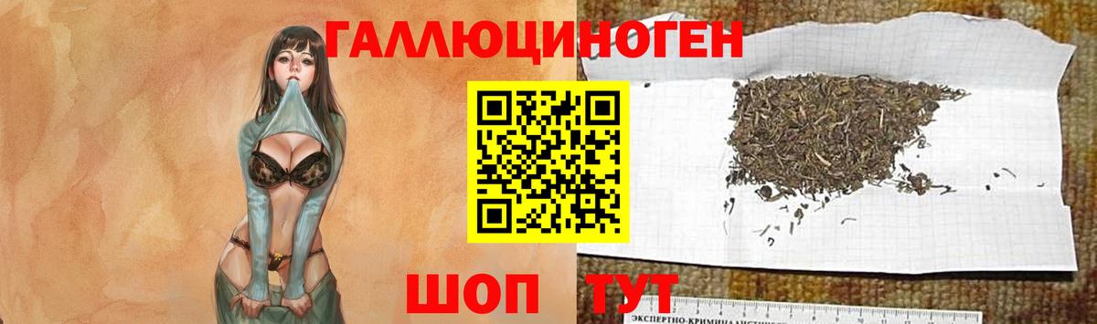Псилоцибиновые грибы мицелий  Вход с VPN  Курчатов  Галлюциногенные грибы мухоморы 