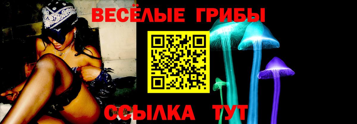 Галлюциногенные грибы Cubensis Курчатов